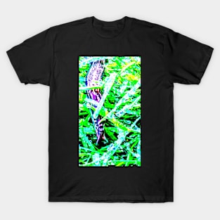 Snail trail T-Shirt